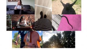 photo one top left: a musician sits on a sofa with their bass; photo two below: a musician sits reading books with plants and instruments; photo three below: a musician with their upright bass with a backdrop of nature; photo four middle: the bottom of a striped skirt and feet; photo five top right: the shadow of a person with their arms in the air; photo six below: the bottom of a snake on a pink rug; photo seven below: a scene of trees, sky, clouds, and the sun.